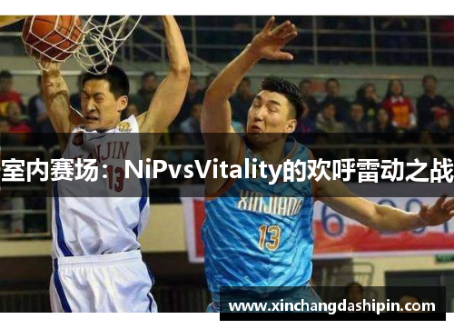 室内赛场：NiPvsVitality的欢呼雷动之战